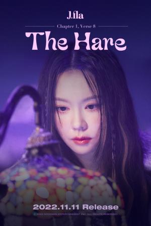 J.Fla: The Hare (Vídeo musical)