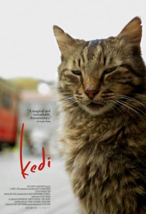 Kedi (Gatos de Estambul)