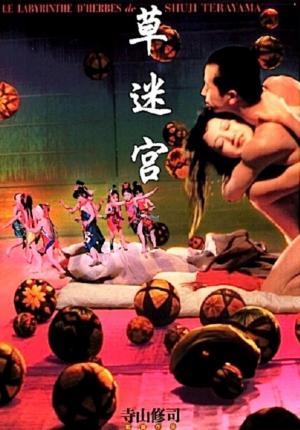 Laberinto en el campo