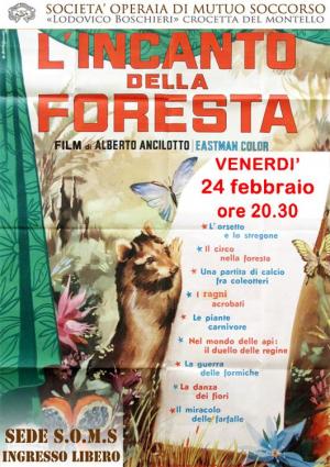 El hechizo de la selva