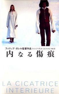 La cicatriz interior
