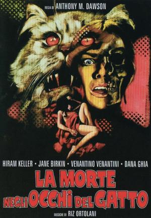 Siete muertos en el ojo del gato