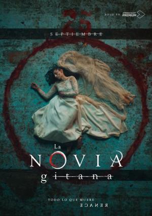 La novia gitana (Serie de TV)