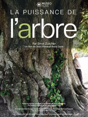 La Puissance de l?arbre avec Ernst Zürcher