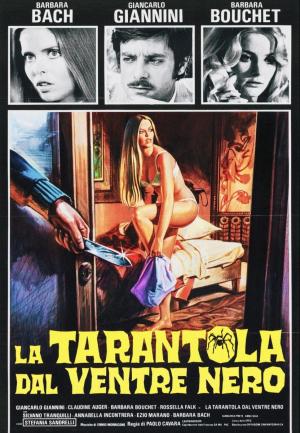 La tarántula del vientre negro