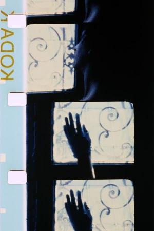 Le Gant de l'autre (C)