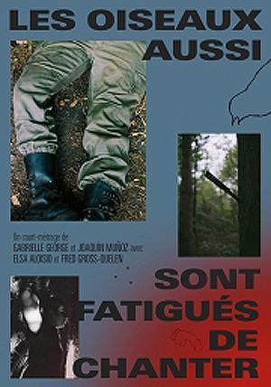 Los pájaros también están cansados de cantar (C)