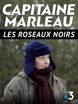Les Roseaux noirs (TV)