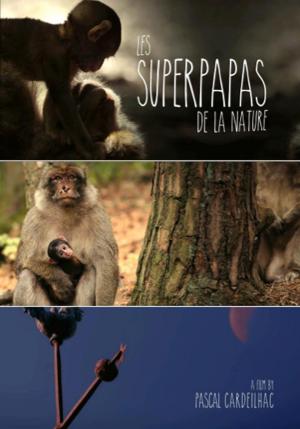 Los súper papás de la naturaleza