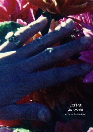 Liberté provisoire (C)