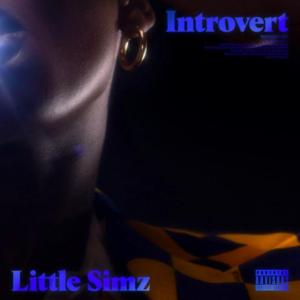 Little Simz: Introvert (Vídeo musical)