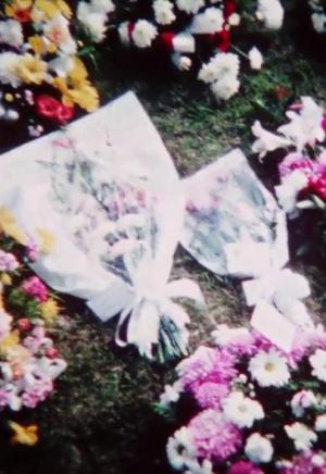 Living Memory
