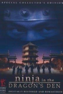 Ninja en la cueva del dragón