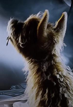 Mac Miller: Color and Shapes (Vídeo musical)