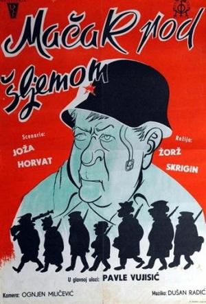 Tomcat Under the Helmet