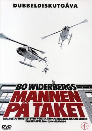 Un hombre en el tejado