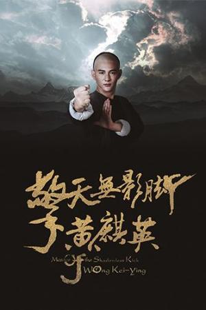 Master of Shadowless Kick - Wong Kei-Ying