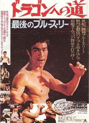 El furor del dragón