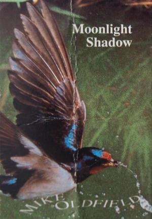 Mike Oldfield: Moonlight Shadow (Vídeo musical)