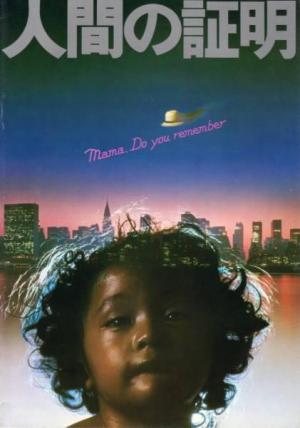 Sombras de una guerra