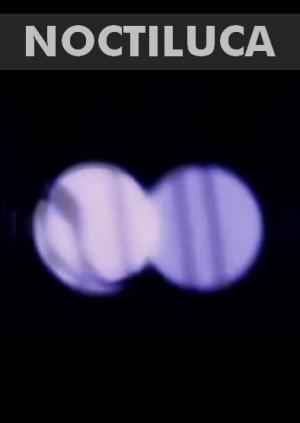 Noctiluca (Magellan's Toys: #1) (C)