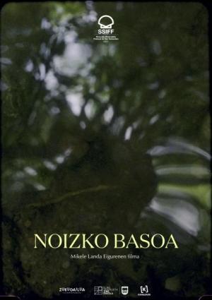 Noizko Basoa (C)