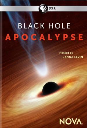 Black Hole Apocalypse
