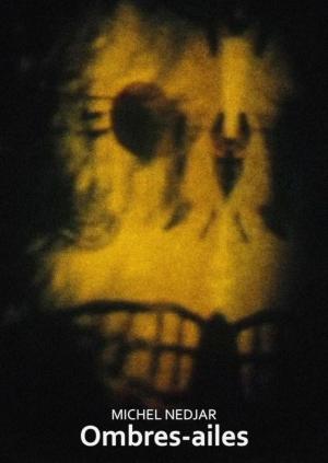 Ombres-ailes (C)