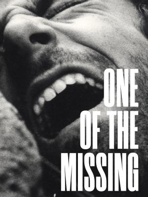 Uno de los desaparecidos