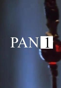 Pan 1 (C)
