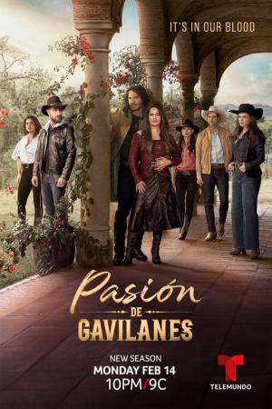 Pasión de Gavilanes 2 (Serie de TV)