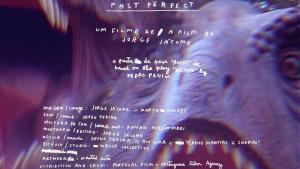 Past Perfect (C)