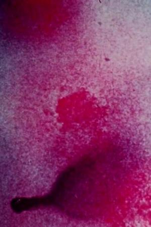 Permutations and Combinations (C)