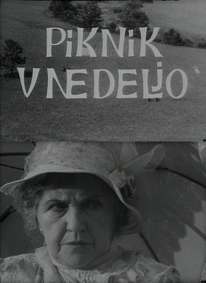 Piknik v nedeljo (C)