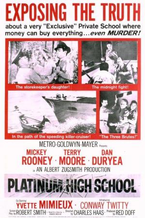 Platinum High School