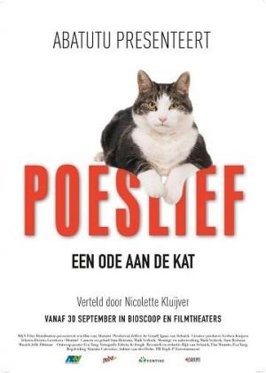 Por qué adoramos a los gatos
