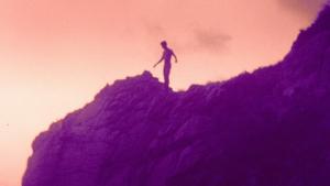 Polycephaly in D (C)