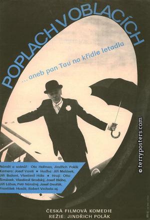 El fantasma del avión