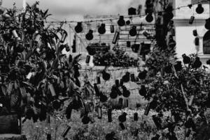 Postcards from the Verge