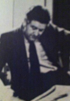 Probation Officer (Serie de TV)