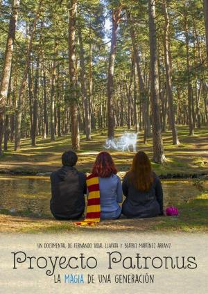 Proyecto Patronus