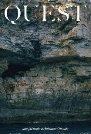 Quest