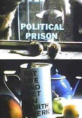 Rat Life and Diet in North America (C)