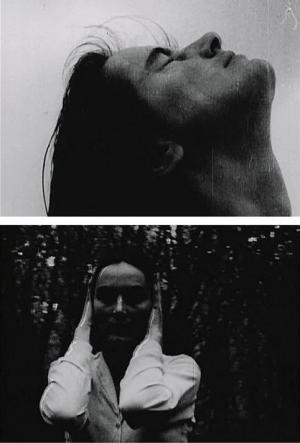 Ruke ljubicastih daljina (C)