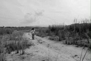 The Ebb of Forgetting (C)