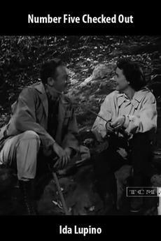 No. 5 Checked Out (TV) (C)