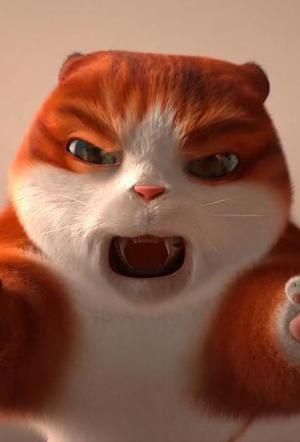 Selfie con el gato (C)