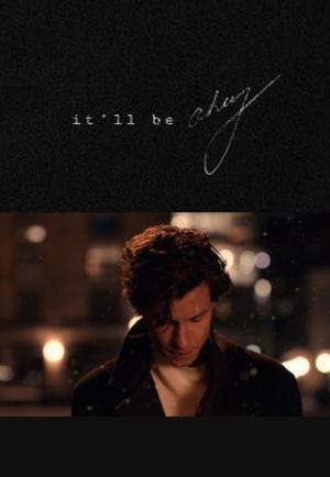 Shawn Mendes: It'll Be Okay (Vídeo musical)