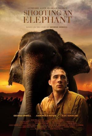 Shooting an Elephant (C)