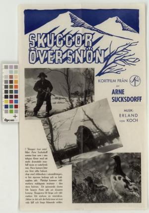 Shadows on the Snow (C)